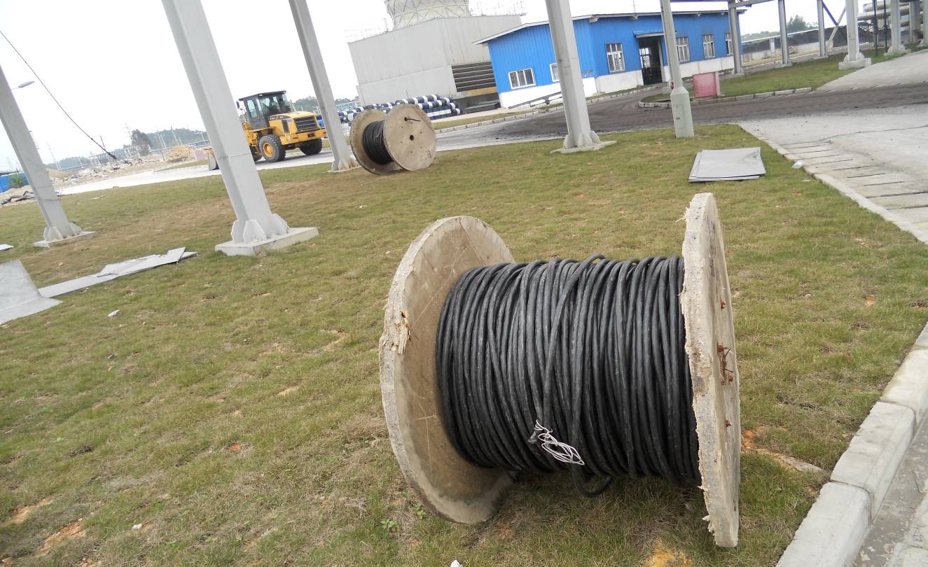 ���²�ж�ֳ� 